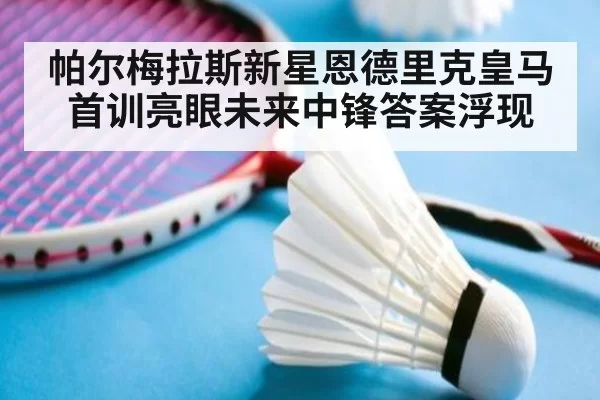 帕尔梅拉斯新星恩德里克皇马首训亮眼未来中锋答案浮现