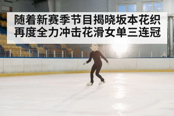 ice rink performance